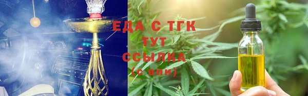 крисы Козельск