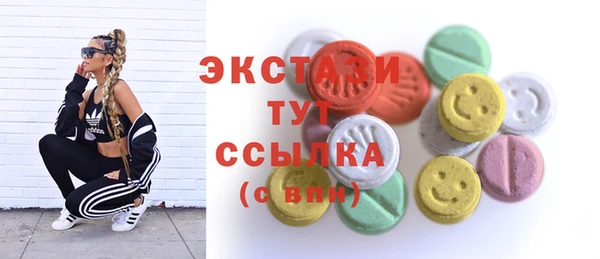 крисы Козельск
