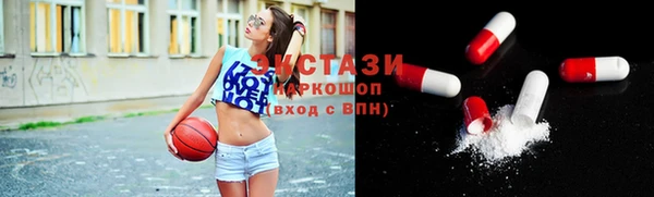 крисы Козельск