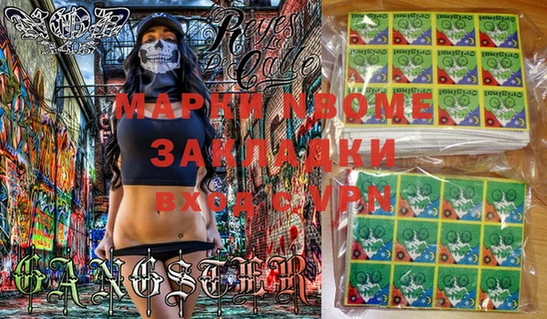 крисы Козельск