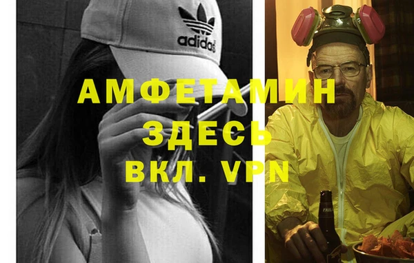 крисы Козельск