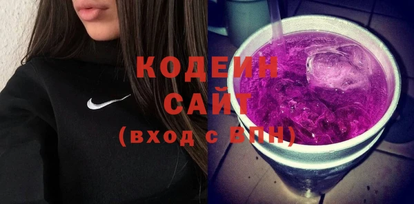 крисы Козельск