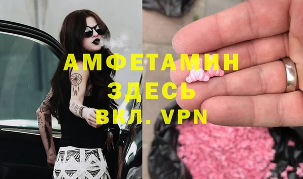крисы Козельск