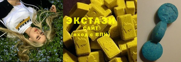 крисы Козельск