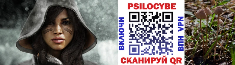Галлюциногенные грибы Magic Shrooms  Купить где  Новоалександровск 